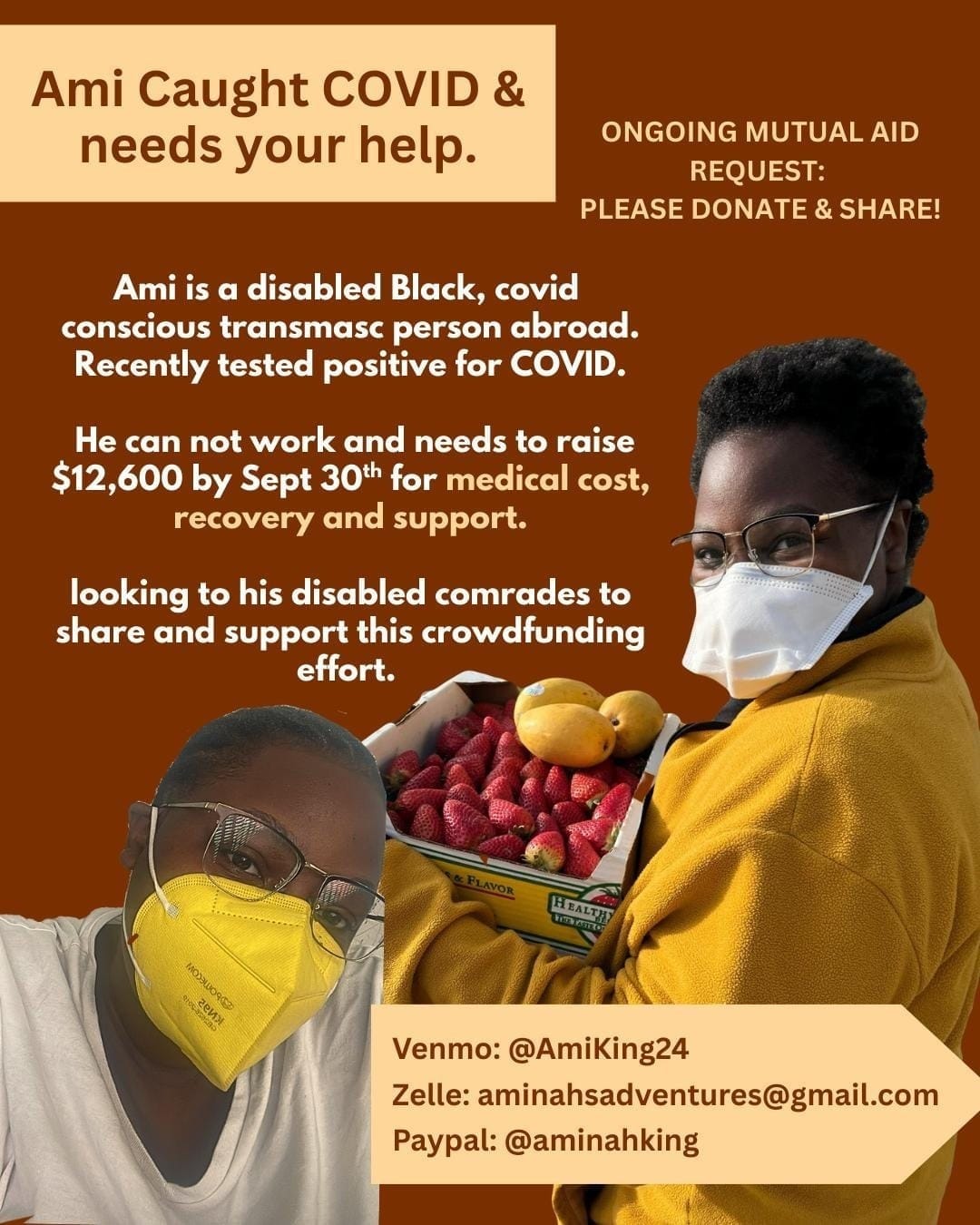 Ami's Fundraising Poster
